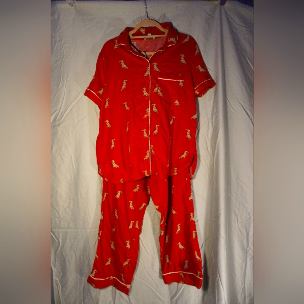 J.Crew Christmas Pajama Set with Dog Print | Women's L